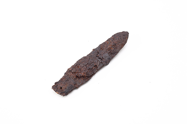 FileNo.189-800.jpg