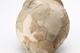 FileNo.189-830.jpg