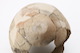 FileNo.189-831.jpg