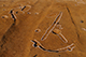 FileNo.190-014.jpg