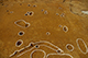 FileNo.190-019.jpg
