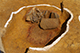 FileNo.190-020.jpg