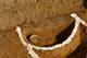 FileNo.190-024.jpg