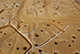 FileNo.190-029.jpg