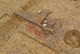 FileNo.190-048.jpg