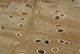 FileNo.190-055.jpg