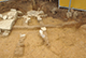 FileNo.190-070.jpg