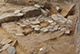 FileNo.190-073.jpg