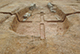 FileNo.190-079.jpg