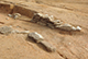 FileNo.190-081.jpg
