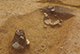 FileNo.190-089.jpg