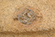 FileNo.190-093.jpg