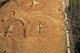 FileNo.190-096.jpg