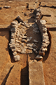 FileNo.190-102.jpg