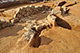 FileNo.190-103.jpg