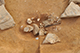 FileNo.190-105.jpg