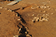 FileNo.190-106.jpg