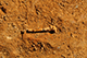 FileNo.190-108.jpg