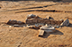 FileNo.190-110.jpg