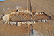 FileNo.190-111.jpg