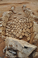 FileNo.190-112.jpg