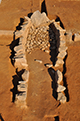 FileNo.190-113.jpg