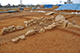 FileNo.190-115.jpg