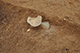 FileNo.190-116.jpg
