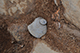 FileNo.190-117.jpg
