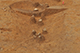FileNo.190-129.jpg