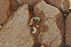 FileNo.190-133.jpg