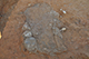 FileNo.190-140.jpg