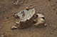 FileNo.190-145.jpg