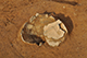 FileNo.190-146.jpg
