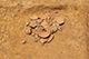 FileNo.190-157.jpg