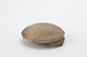FileNo.190-192.jpg