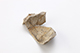 FileNo.190-203.jpg