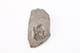FileNo.190-219.jpg