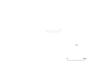 図版 190-J220.png