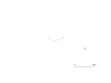 図版 190-J238.png