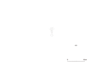 図版 190-J409.png