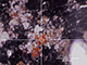 FileNo.191-007.jpg