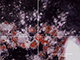 FileNo.191-008.jpg