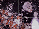 FileNo.191-009.jpg