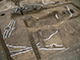 FileNo.191-025.jpg
