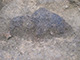 FileNo.191-032.jpg