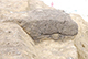 FileNo.191-038.jpg