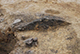 FileNo.191-040.jpg
