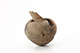 FileNo.191-053.jpg