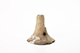 FileNo.191-068.jpg